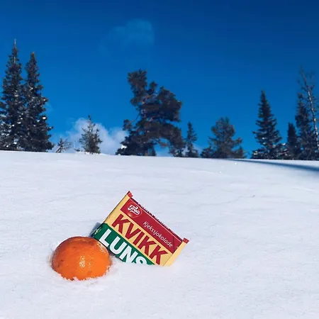 Hostkos Og Ro Pa Budor, 4 Roms Med Peis Og Wifi * Nordset