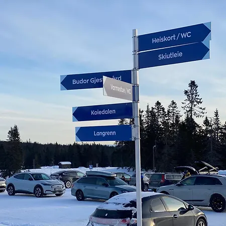 Hyttekos Og Ro Pa Budor, 4 Roms Med Peis Og Wifi 別荘 *