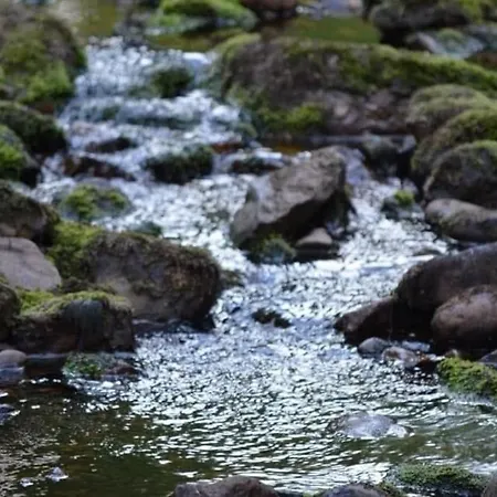 Tatil Evi Hostkos Og Ro Pa Budor, 4 Roms Med Peis Og Wifi Nordset