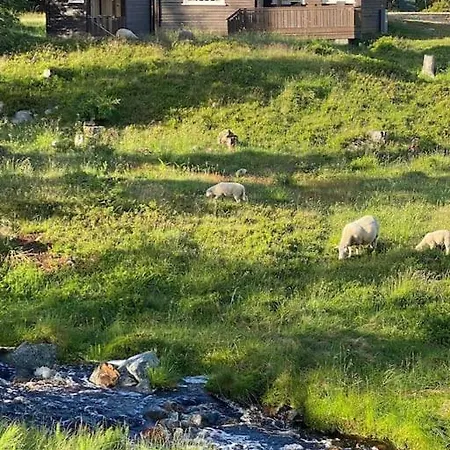 Hostkos Og Ro Pa Budor, 4 Roms Med Peis Og Wifi Tatil Evi Nordset