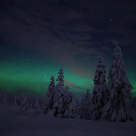 Hostkos Og Ro Pa Budor, 4 Roms Med Peis Og Wifi Tatil Evi *