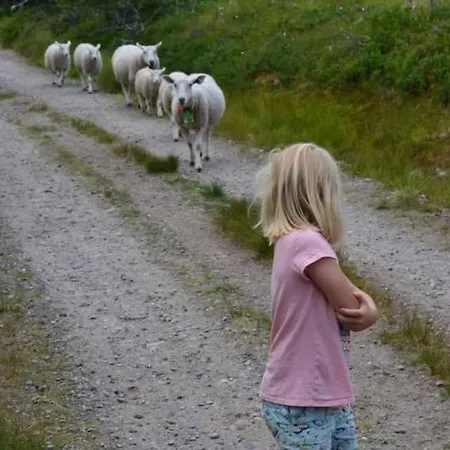 Hostkos Og Ro Pa Budor, 4 Roms Med Peis Og Wifi Tatil Evi