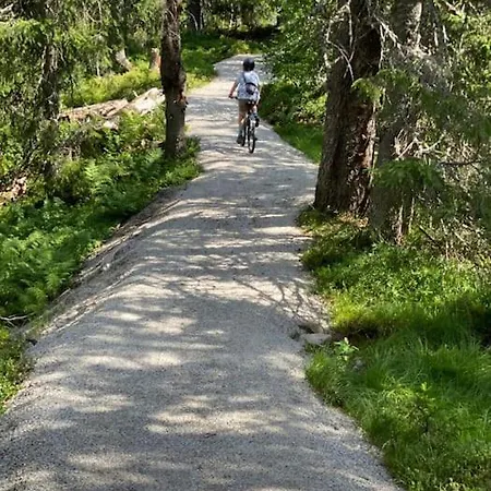 Hostkos Og Ro Pa Budor, 4 Roms Med Peis Og Wifi