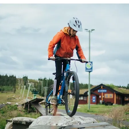 Tatil Evi Hostkos Og Ro Pa Budor, 4 Roms Med Peis Og Wifi