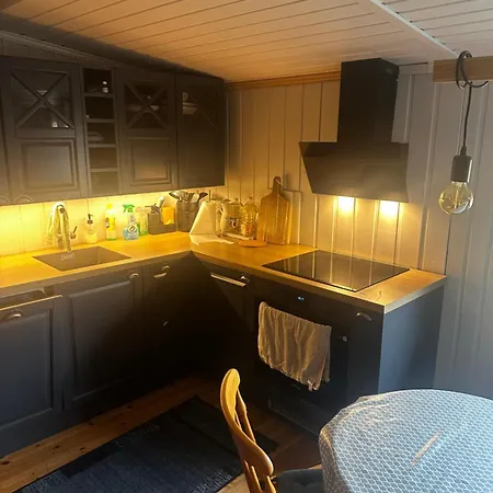 Feriehus Høstkos Og Ro På Budor I Vinterferien , 4 Roms Med Peis Og Wifi Nordset