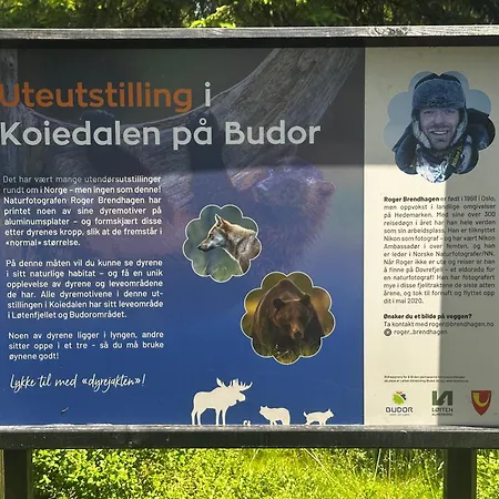 Hostkos Og Ro Pa Budor, 4 Roms Med Peis Og Wifi Tatil Evi