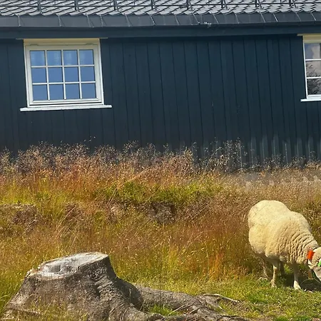 Hyttekos Og Ro Pa Budor, 4 Roms Med Peis Og Wifi