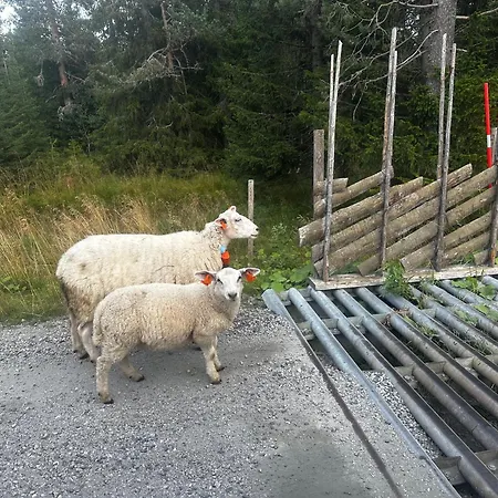 Tatil Evi Hostkos Og Ro Pa Budor, 4 Roms Med Peis Og Wifi Nordset