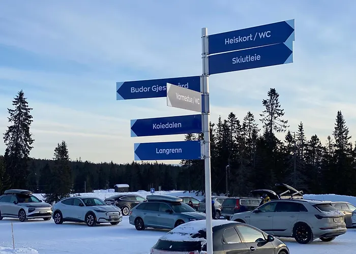 Hostkos Og Ro Pa Budor, 4 Roms Med Peis Og Wifi Nyaraló *