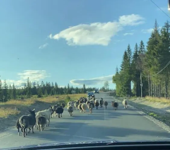 Hostkos Og Ro Pa Budor, 4 Roms Med Peis Og Wifi * Nordset