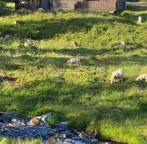 Hostkos Og Ro Pa Budor, 4 Roms Med Peis Og Wifi Nyaraló Nordset