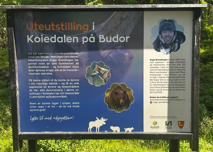 Hostkos Og Ro Pa Budor, 4 Roms Med Peis Og Wifi Nyaraló