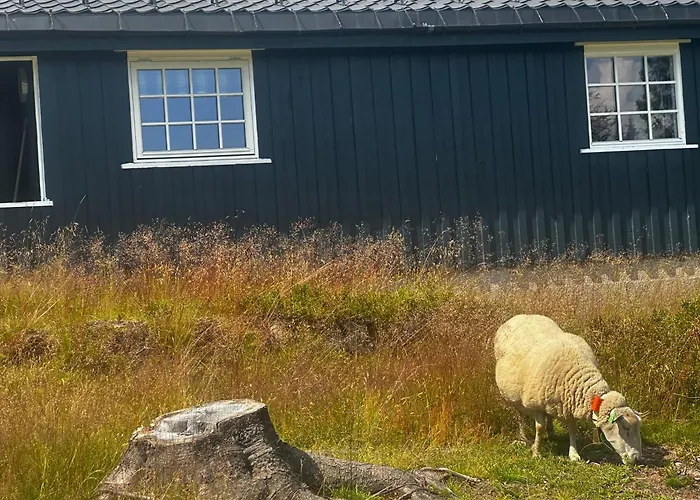 Hostkos Og Ro Pa Budor, 4 Roms Med Peis Og Wifi