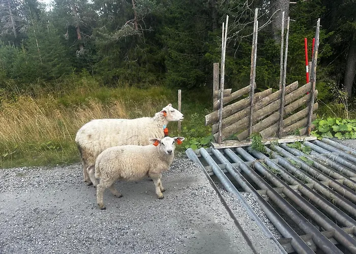 Nyaraló Hostkos Og Ro Pa Budor, 4 Roms Med Peis Og Wifi Nordset