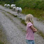 Hostkos Og Ro Pa Budor, 4 Roms Med Peis Og Wifi Дом отдыха